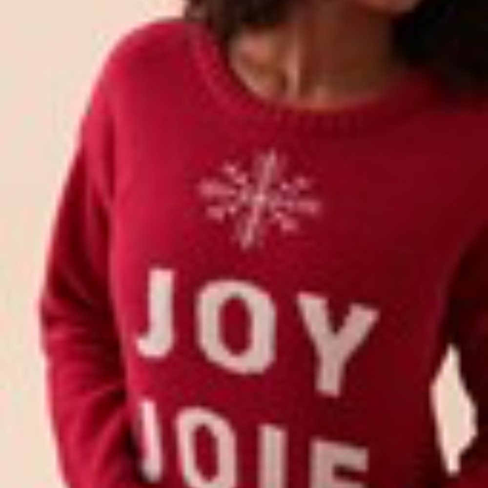 NWT  LA VIE EN ROSE Chenille Long Sleeve Sleepshirt